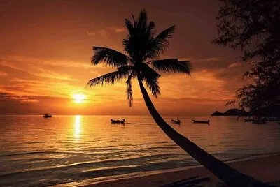 hermoso paisaje de un atardecer en la playa