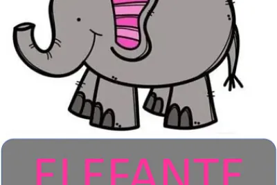 ELEFANTE VOGAL