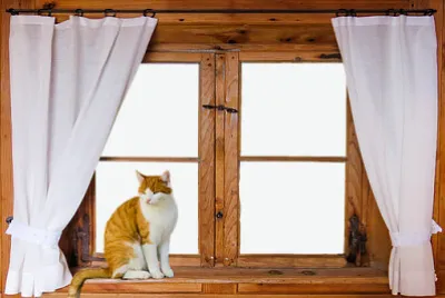 Foto jigsaw puzzle