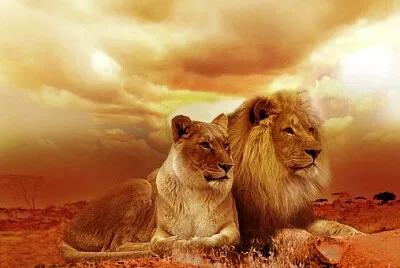 Foto jigsaw puzzle