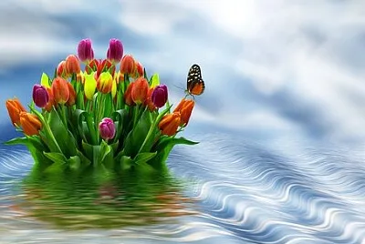 Foto