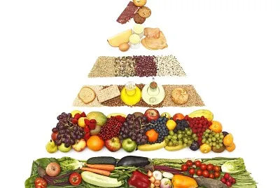 Alimentación