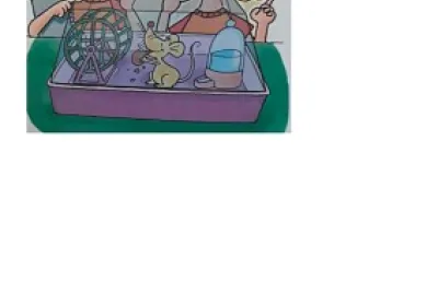 A ESCOLA DE MARCELO