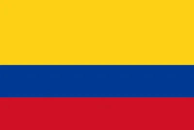 mi bandera jigsaw puzzle