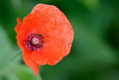top