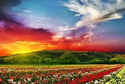פאזל של Couleurs incroyables