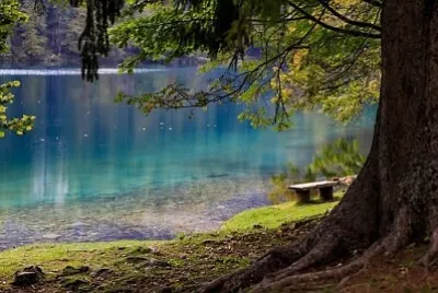 Foto jigsaw puzzle