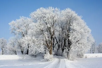 Foto jigsaw puzzle