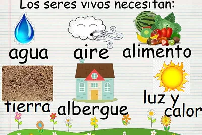 פאזל של Necesidades de los seres vivo