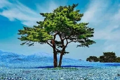 Foto jigsaw puzzle