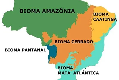 Biomas brasileiros jigsaw puzzle