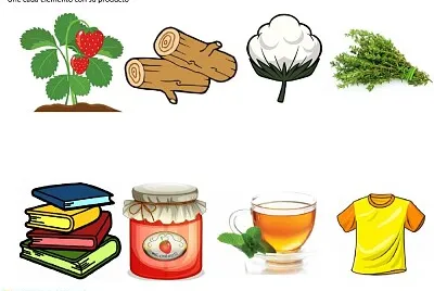 פאזל של utilidad de las plantas