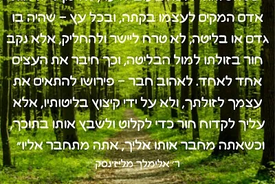 פאזל על ויתור jigsaw puzzle