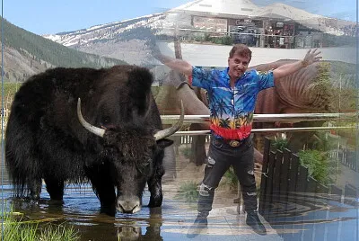 cawboy jigsaw puzzle