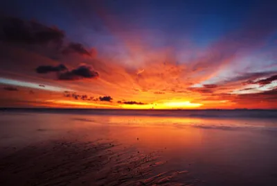 por do sol inverno jigsaw puzzle