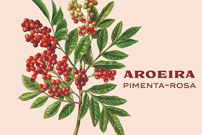 cores jigsaw puzzle
