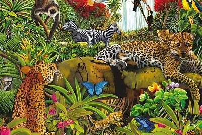 Animaux de jungle