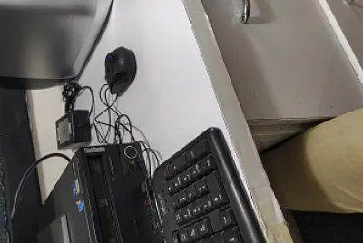 Y