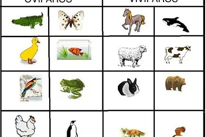 פאזל של Reproducción de los animales