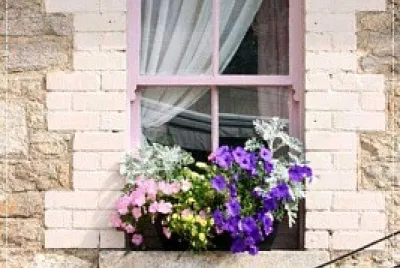 ventana