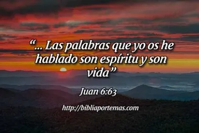 Juan 6:63