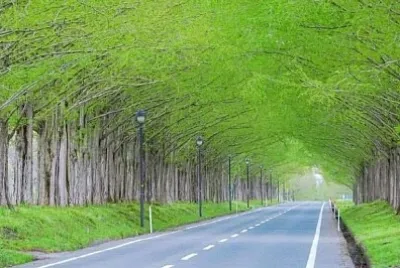 風景