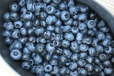 Blueberries
