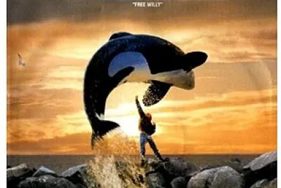 FREE WILLY