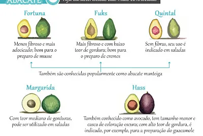 FRUTAS - ABACATE