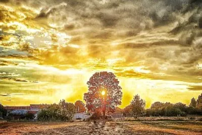 Coucher de soleil jigsaw puzzle