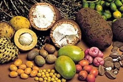 FRUTAS REGIONAIS DO PARÁ