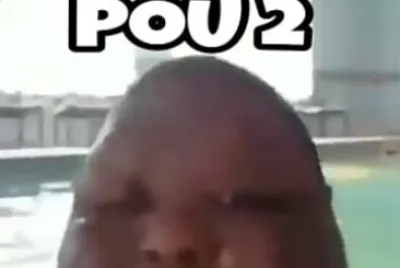pou 2