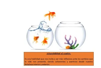 Adaptabilidad al cambio.