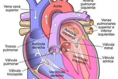 פאזל של CORAZÓN