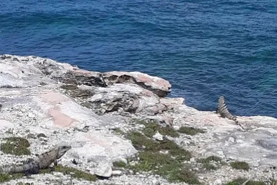 VISITANDO ISLA MUJERES- MEXICO