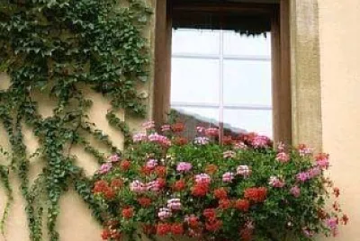 ventana