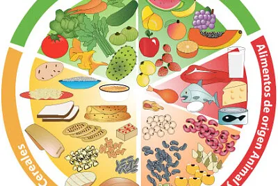 nutrientes