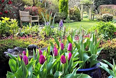 spring#259 jigsaw puzzle