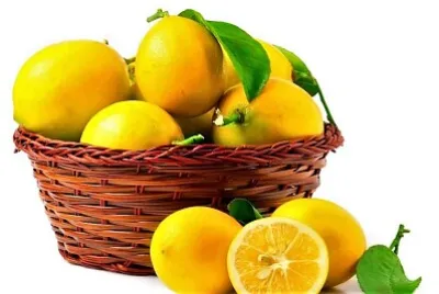 Lemons jigsaw puzzle