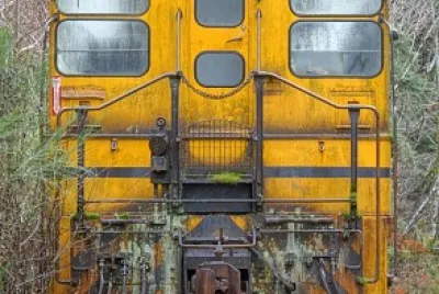 train in the woods