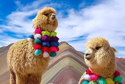 Jujuy Argentina jigsaw puzzle