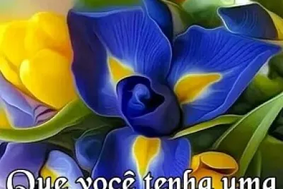Bom dia