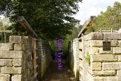 1827 Sandy and  Beaver Canal Lock-36 Sept 2021 jigsaw puzzle
