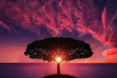 Sunset Three