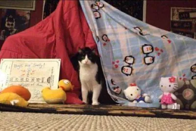 Blanket Fort