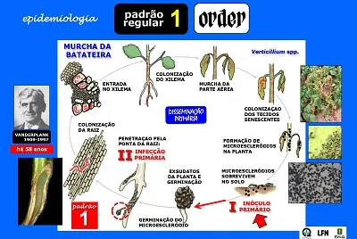 fitopatologia