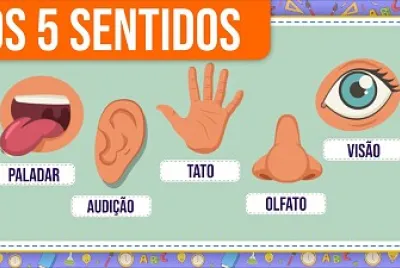 OS SENTIDOS