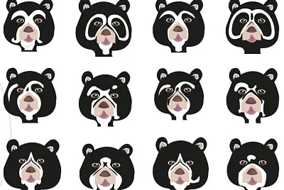 Oso Andino