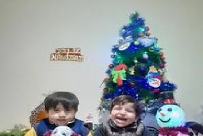 Familia ceci