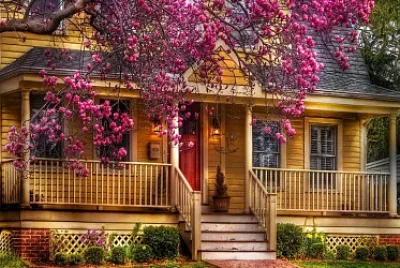 Sunny House